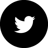 picture of Twitter